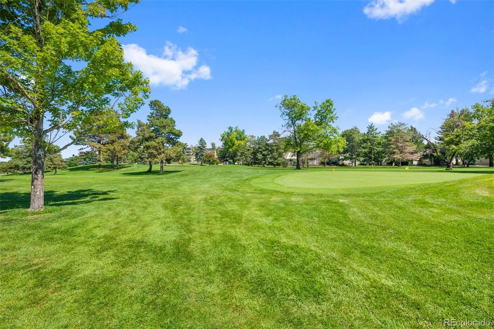 13691 E Marina Drive #412 Aurora CO 80014 MLS #REC8674892 09082025023226 1600 36