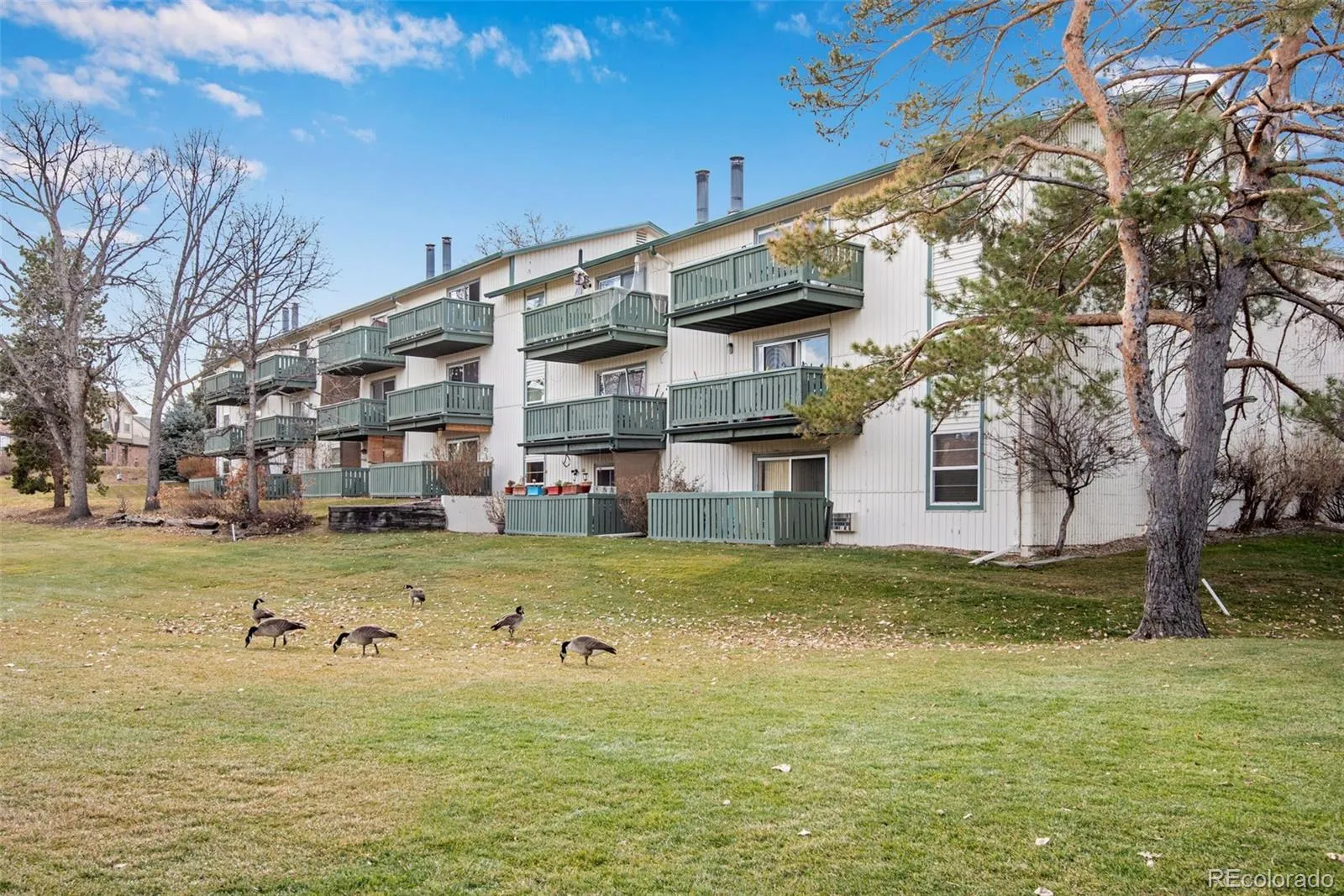 2130 S Vaughn Way #205E Aurora CO 80014 MLS #REC8675902 04242026152053 1600 19