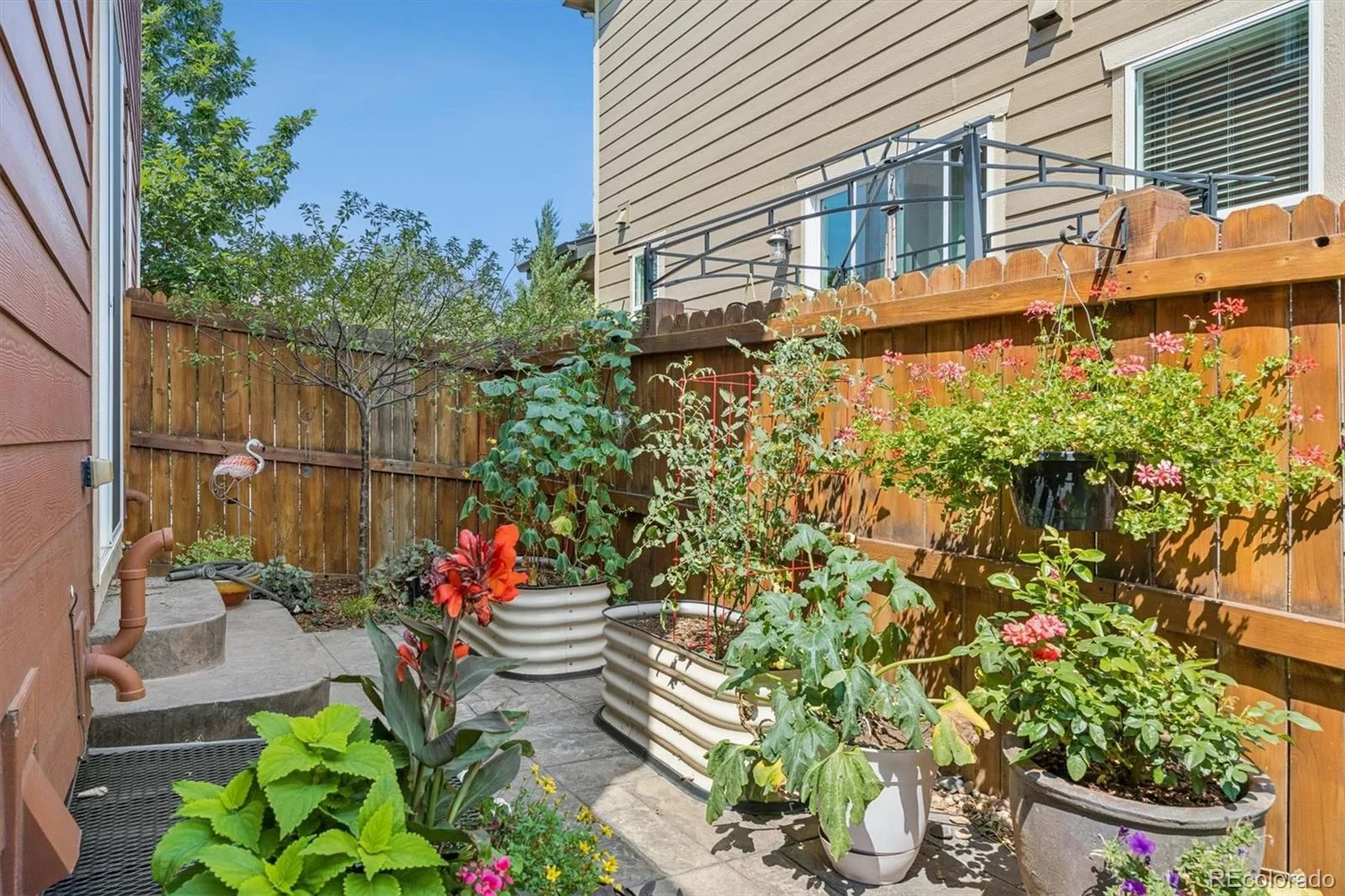 1212 S Clinton Street Denver CO 80247 | MLS #REC8681887 08122026031519 1600 39