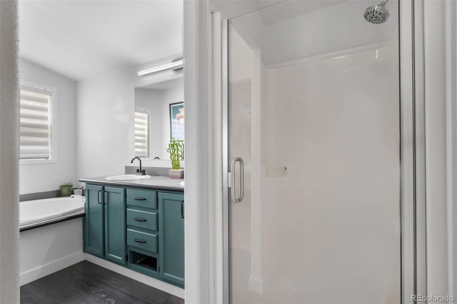 1436 Knox Court Denver CO 80204 MLS #REC8688579 06252026225056 1600 26