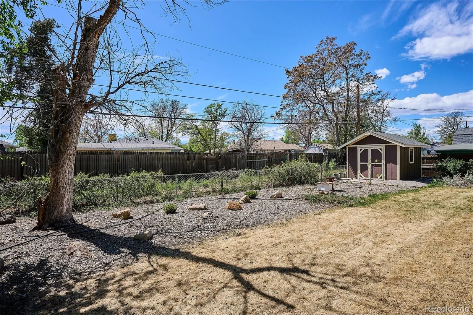 6300 W 46th Avenue Wheat Ridge CO 80033 MLS #REC8689403 04202026000102 1600 29
