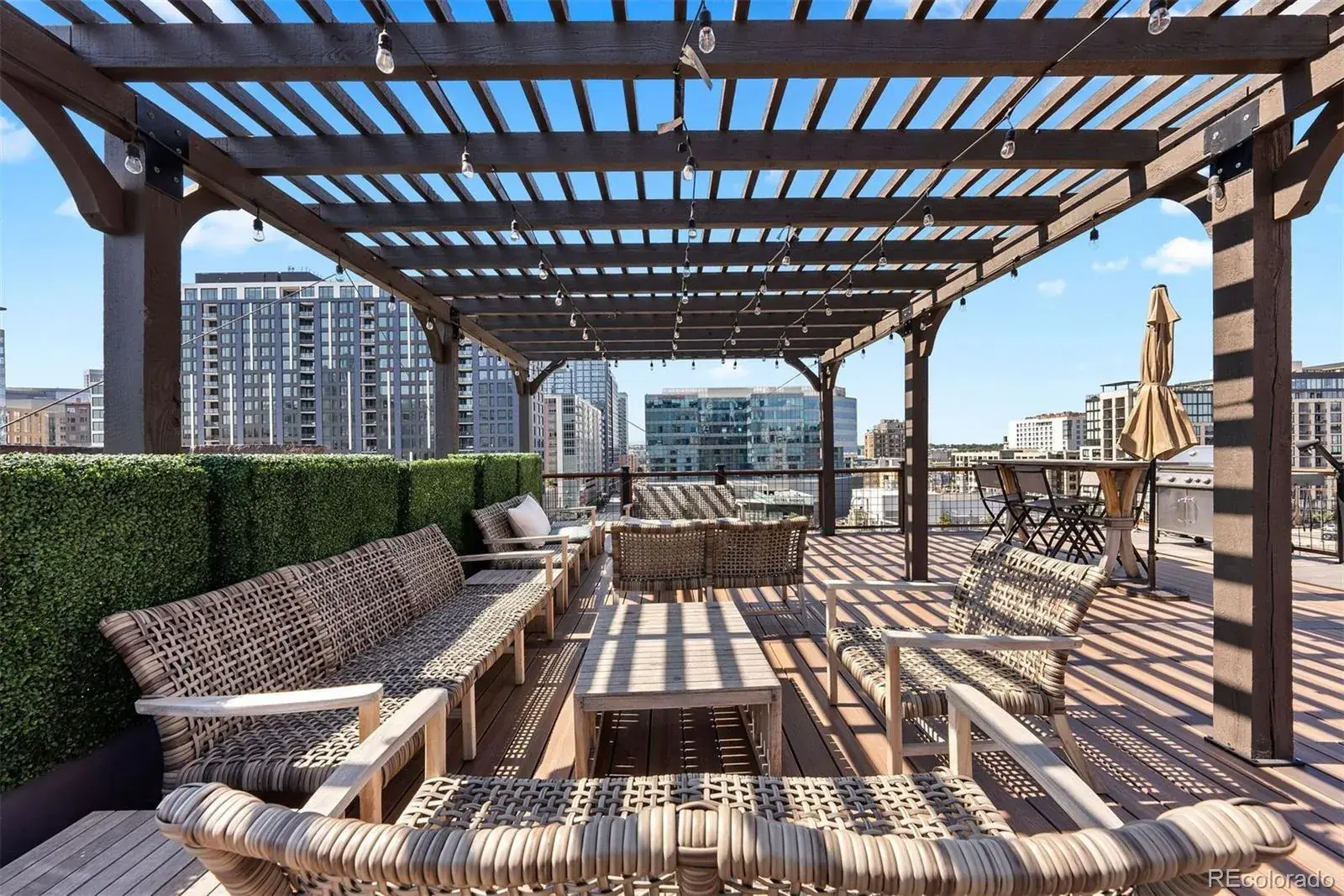 01232026235419 1600 24