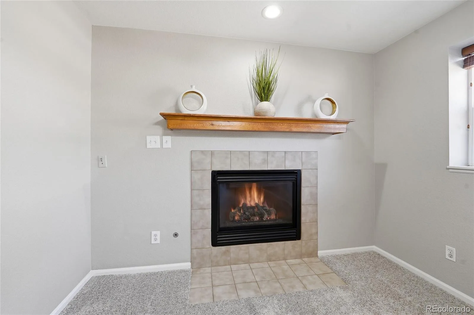 312 S 31st Avenue Brighton CO 80601 | MLS #REC8699562 08162026194155 1600 31