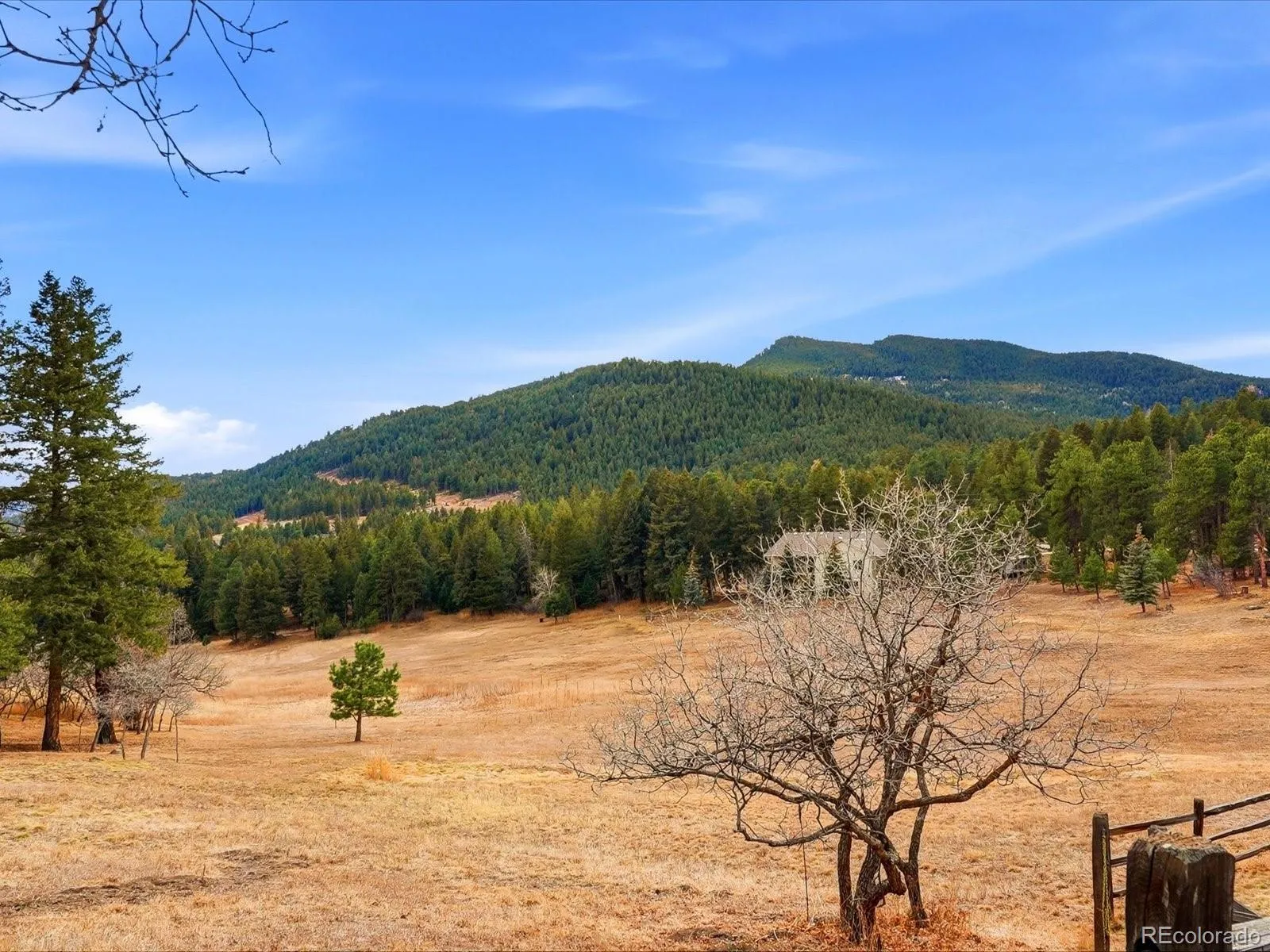 7540 S Homesteader Drive Morrison CO 80465 | MLS #REC8701586 04082026234605 1600 40