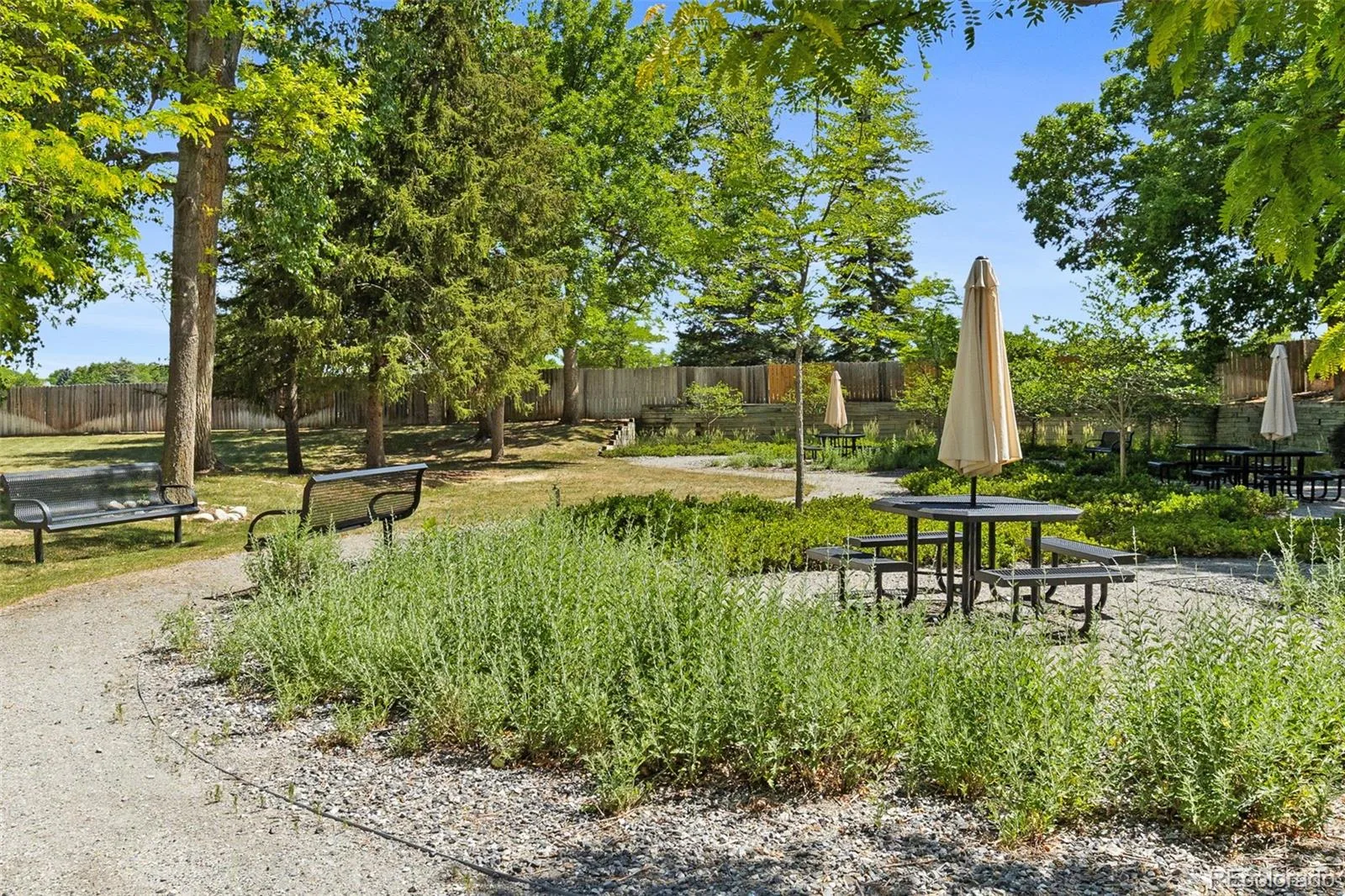 7617 S Cove Circle Centennial CO 80122 | MLS #REC8706465 06252026142559 1600 36