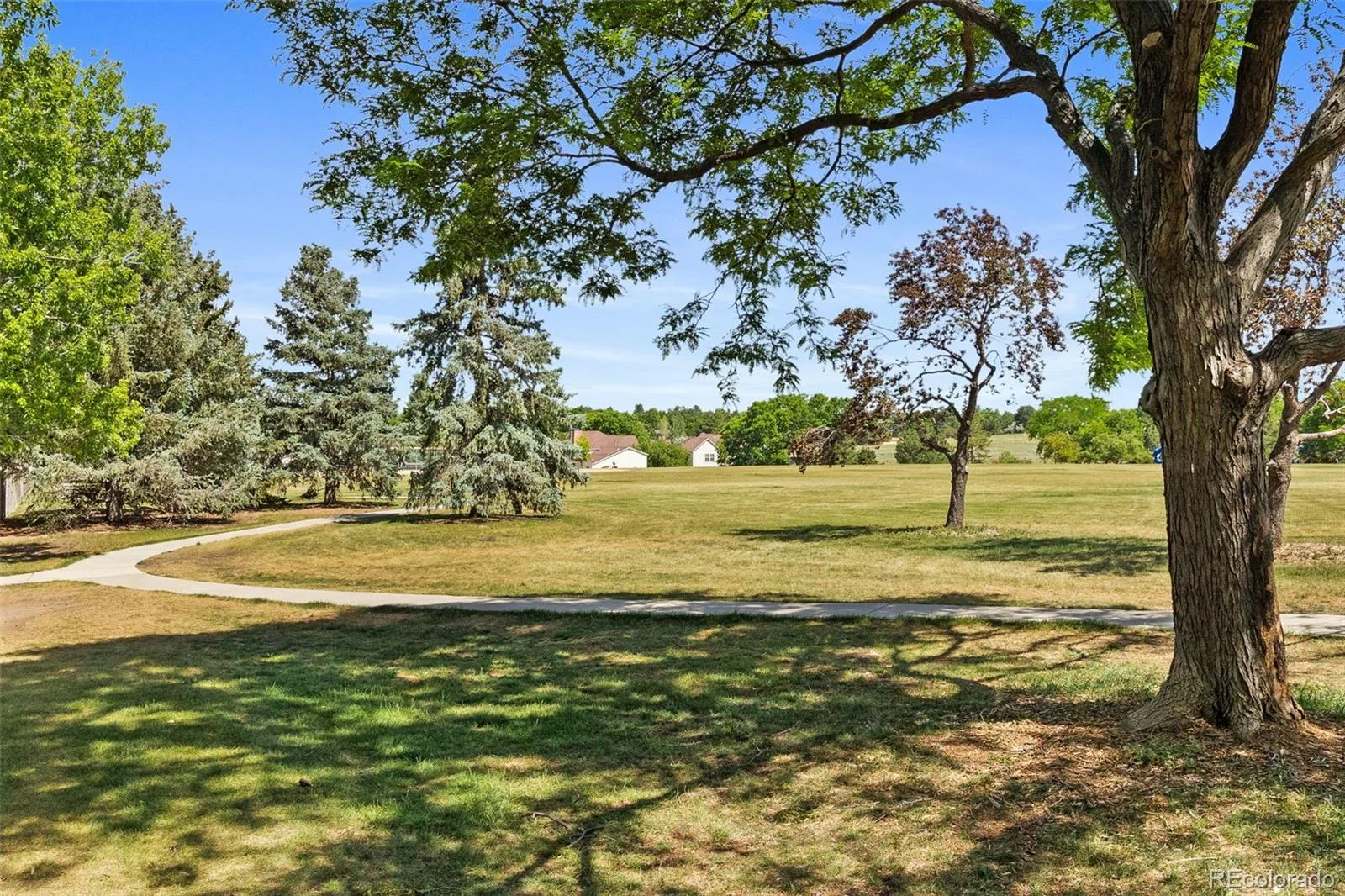 7617 S Cove Circle Centennial CO 80122 | MLS #REC8706465 06252026142559 1600 37