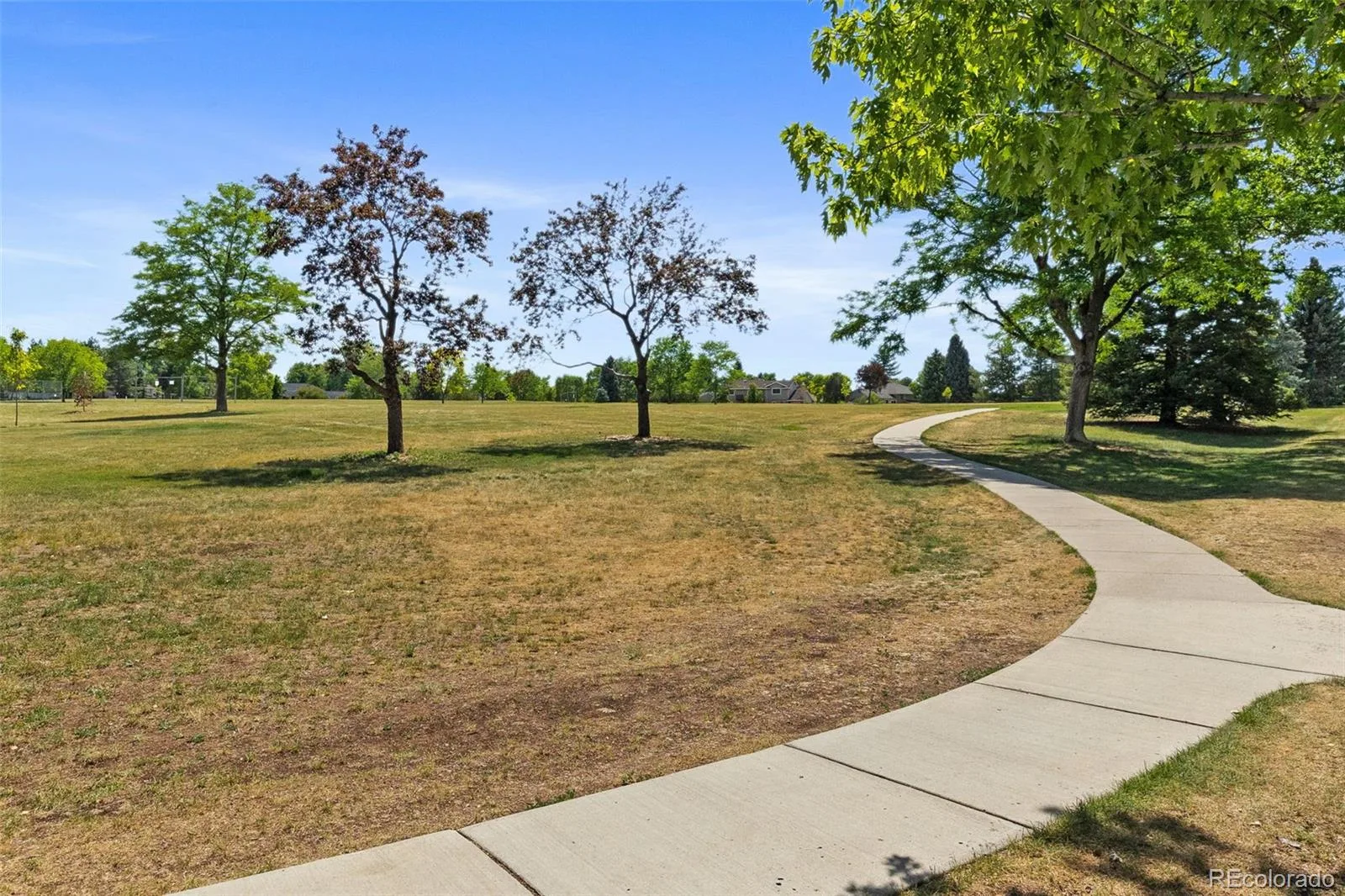 7617 S Cove Circle Centennial CO 80122 | MLS #REC8706465 06252026142559 1600 38