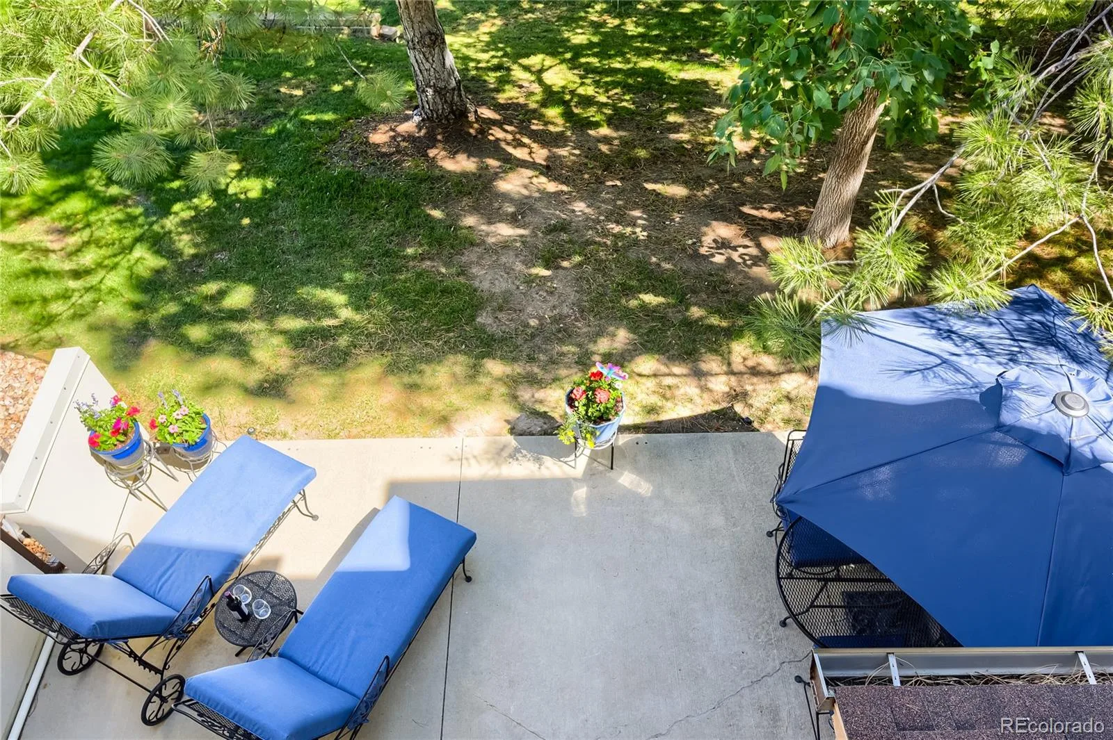 6617 S Forest Way #E Centennial CO 80121 | MLS #REC8716277 08212026183027 1600 24