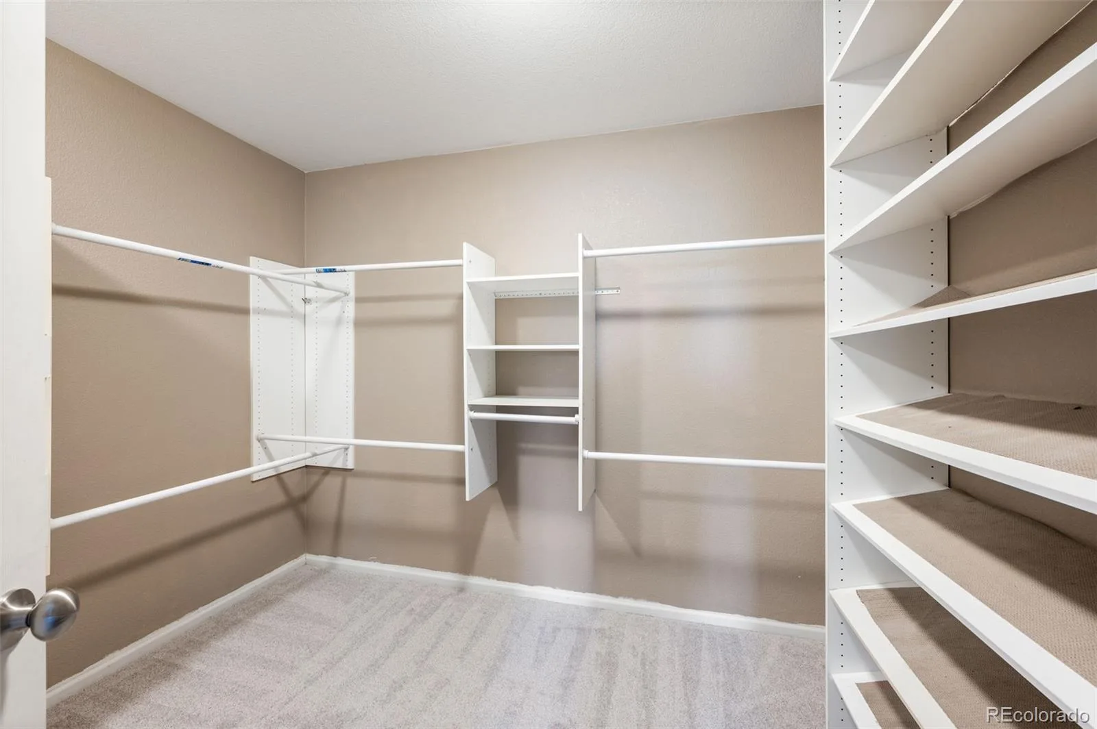 3682 E 92nd Place Thornton CO 80229 | MLS #REC8725988 07172026005805 1600 28