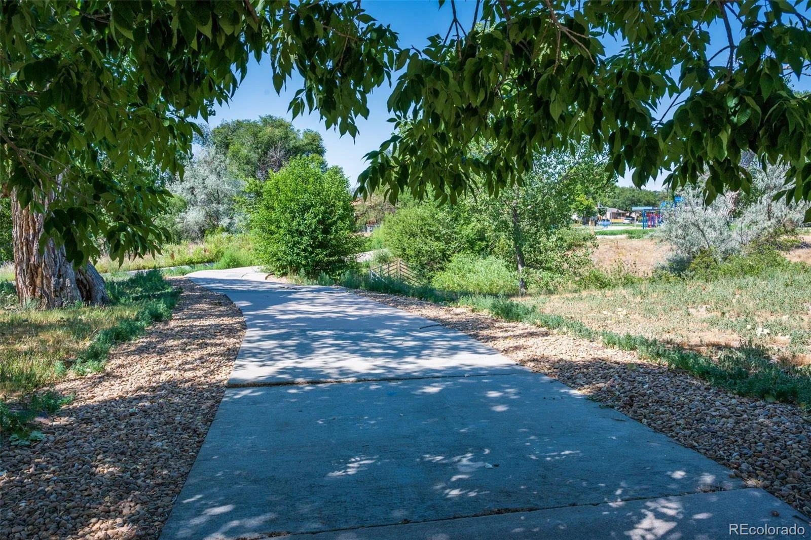 3682 E 92nd Place Thornton CO 80229 | MLS #REC8725988 07172026005805 1600 45