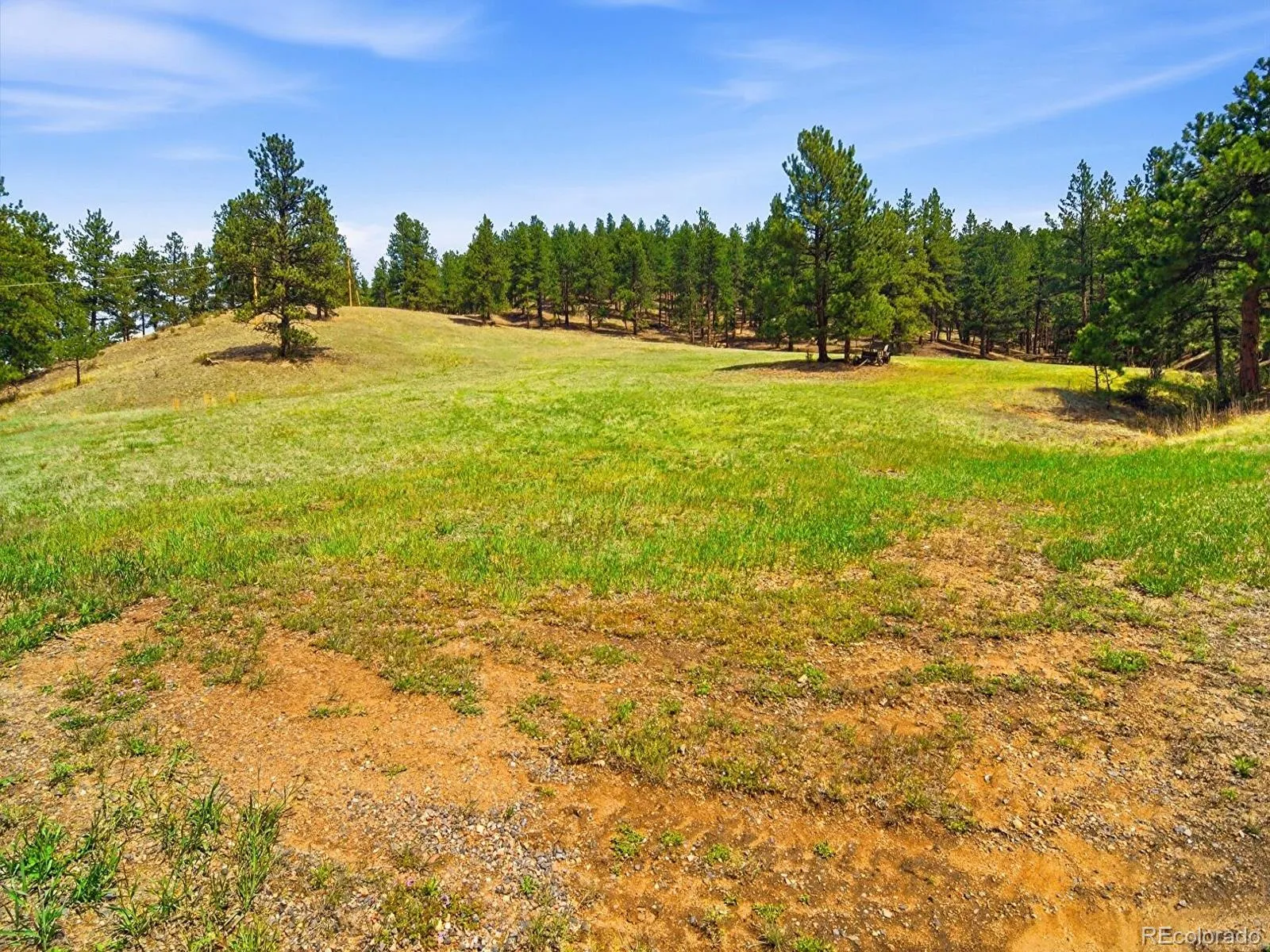 2830 Kerr Gulch Road Evergreen CO 80439 | MLS #REC8736926 05242026052713 1600 3