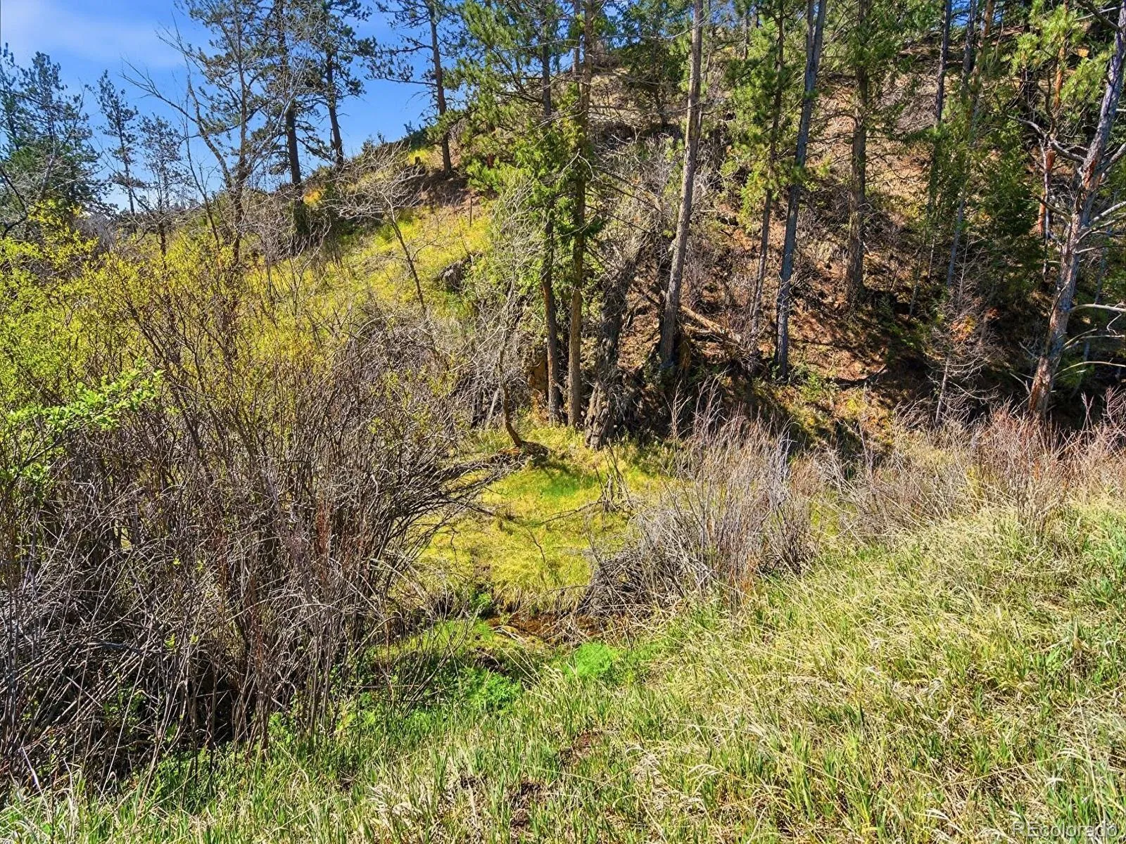 2830 Kerr Gulch Road Evergreen CO 80439 | MLS #REC8736926 05242026052713 1600 35