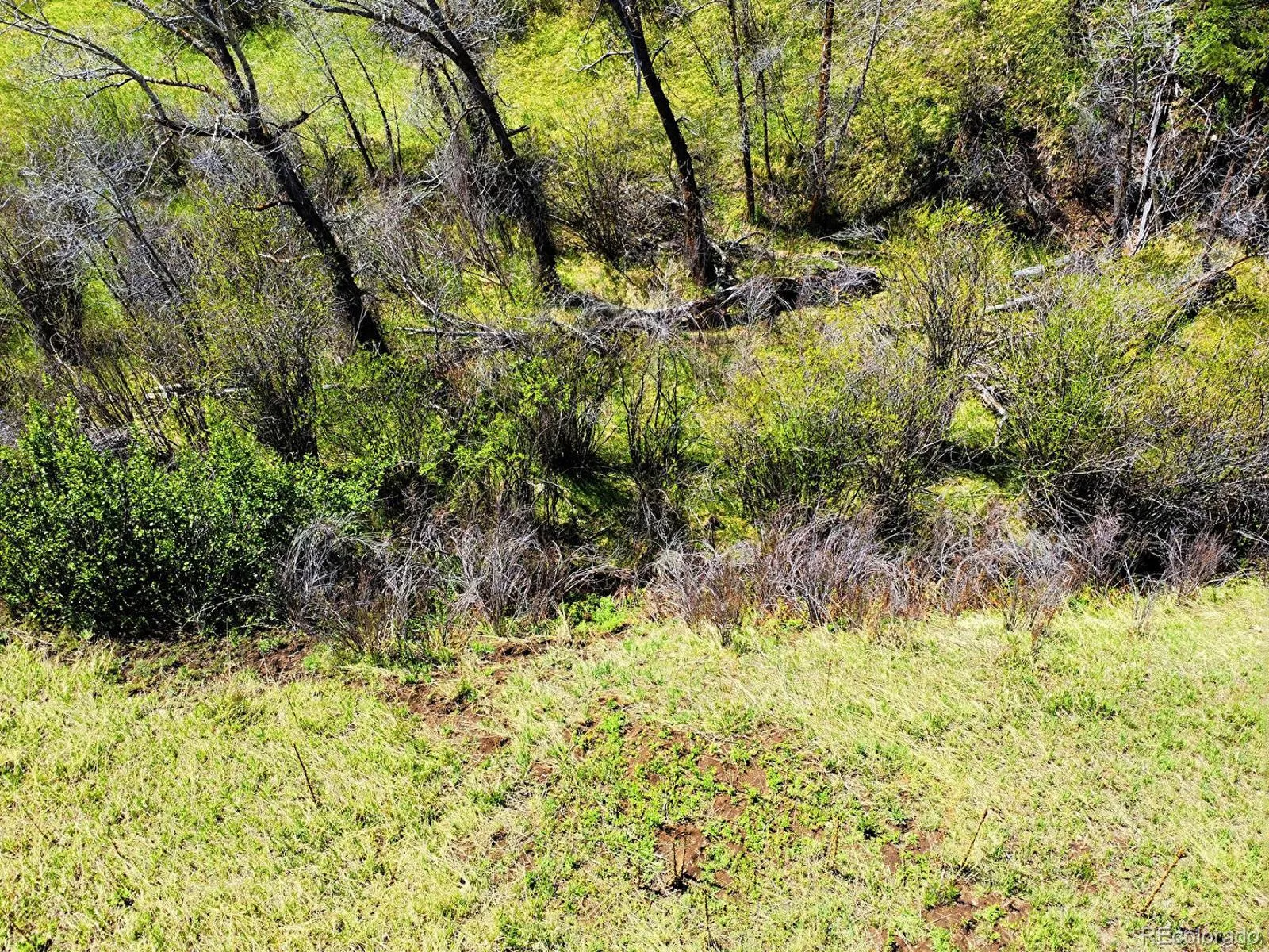 2830 Kerr Gulch Road Evergreen CO 80439 | MLS #REC8736926 05242026052713 1600 36