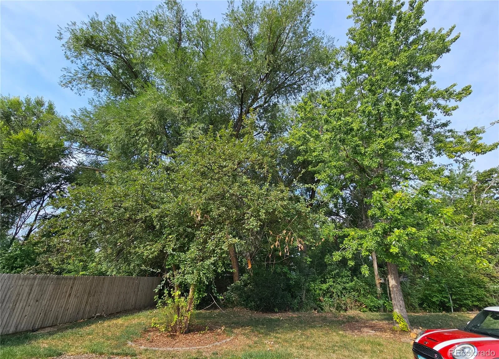 11 17th Avenue Longmont CO 80501 | MLS #REC8739411 08112026172802 1600 31