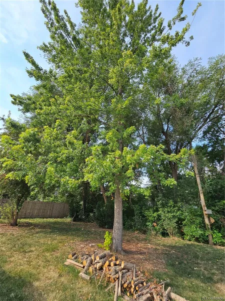 11 17th Avenue Longmont CO 80501 | MLS #REC8739411 08112026172802 800 30