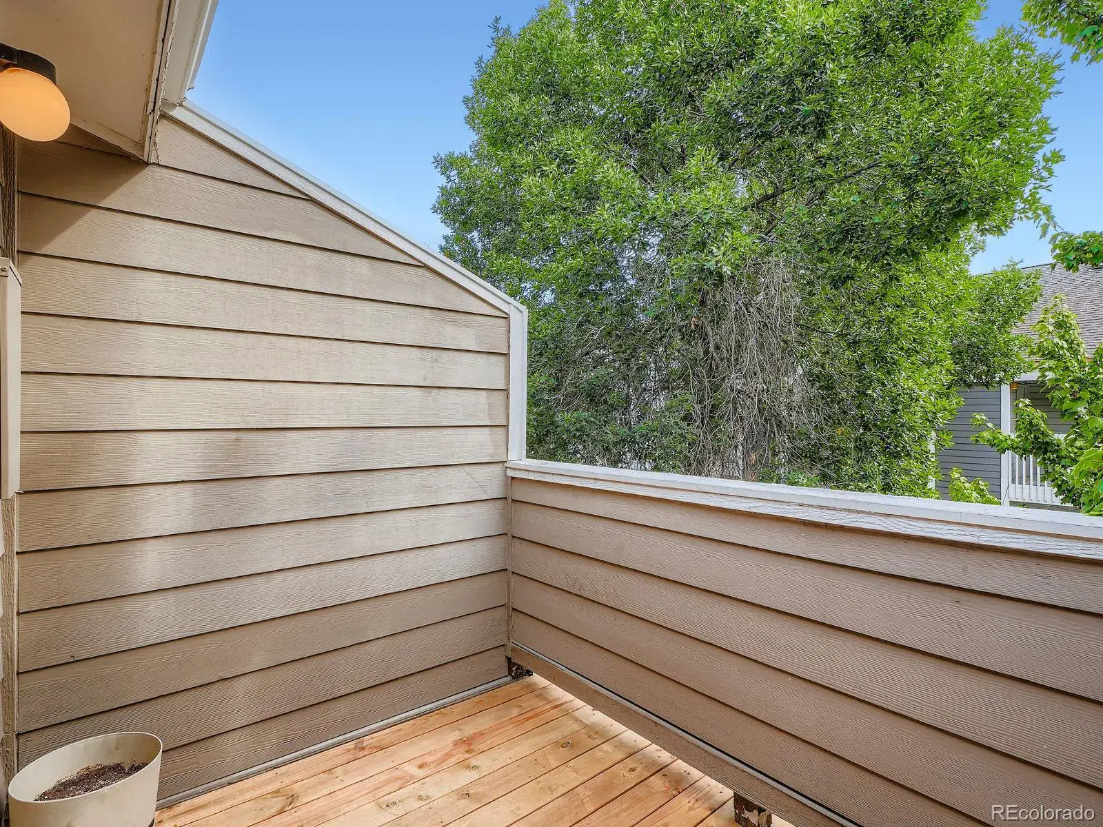 01202026215330 1600 10