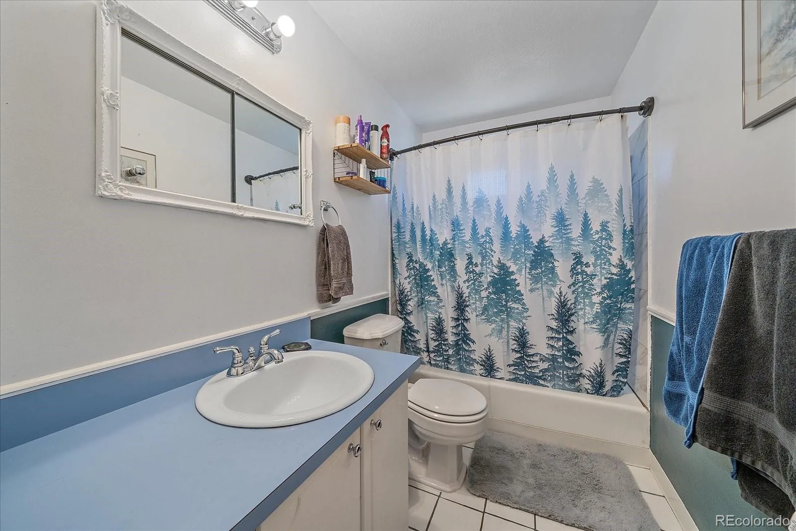 1654 S Endicott Street Denver CO 80232 | MLS #REC8746152 08022026152405 1600 11