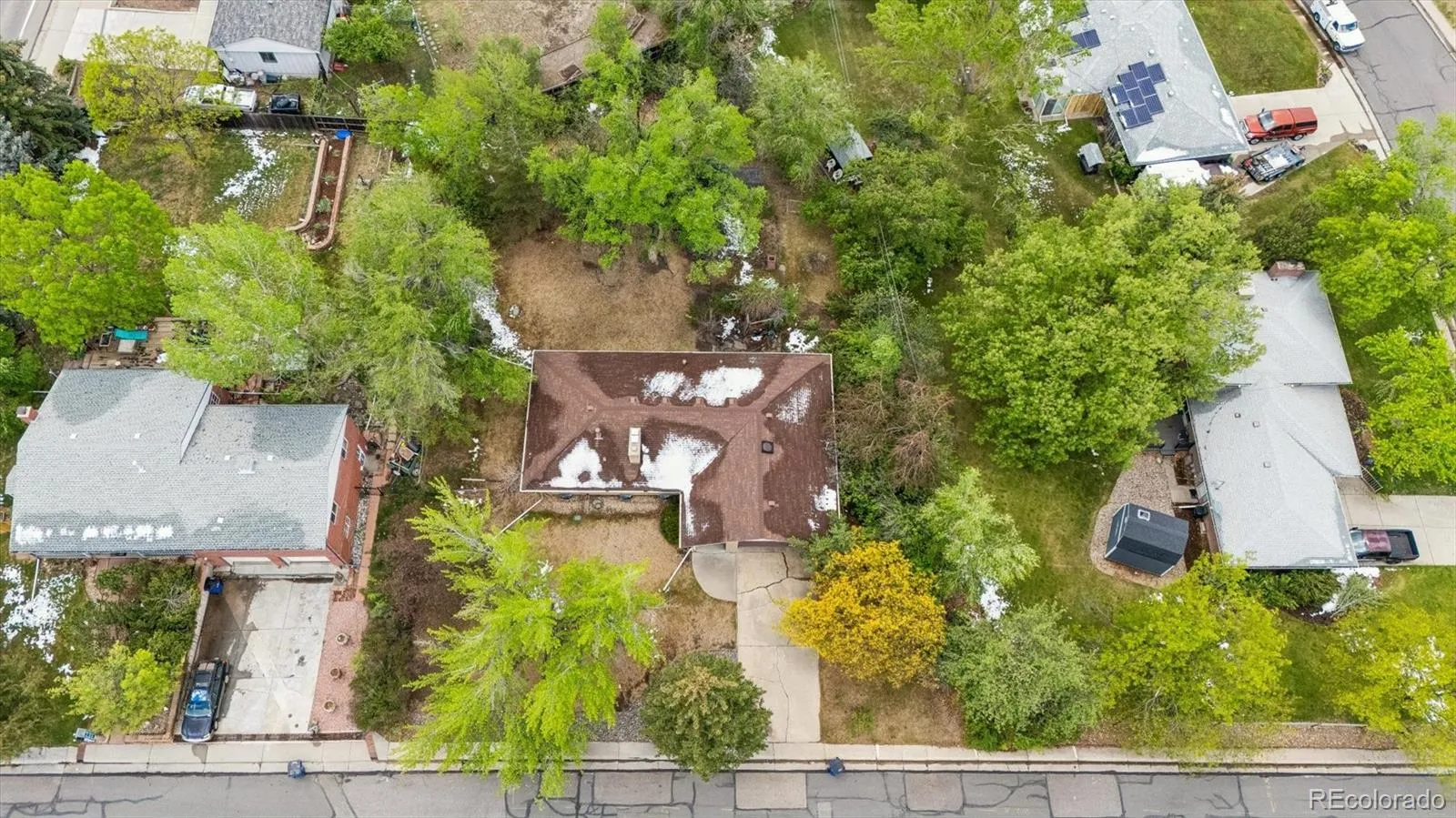 3235 Union Street Wheat Ridge CO 80033 MLS #REC8747130 05092026025115 1600 2