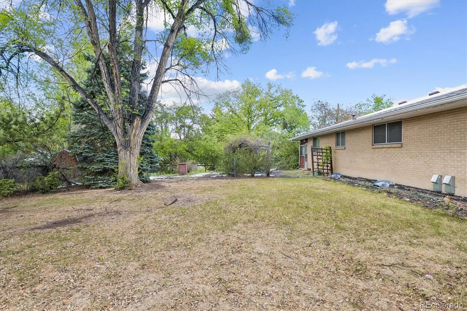 3235 Union Street Wheat Ridge CO 80033 MLS #REC8747130 05092026025115 1600 30