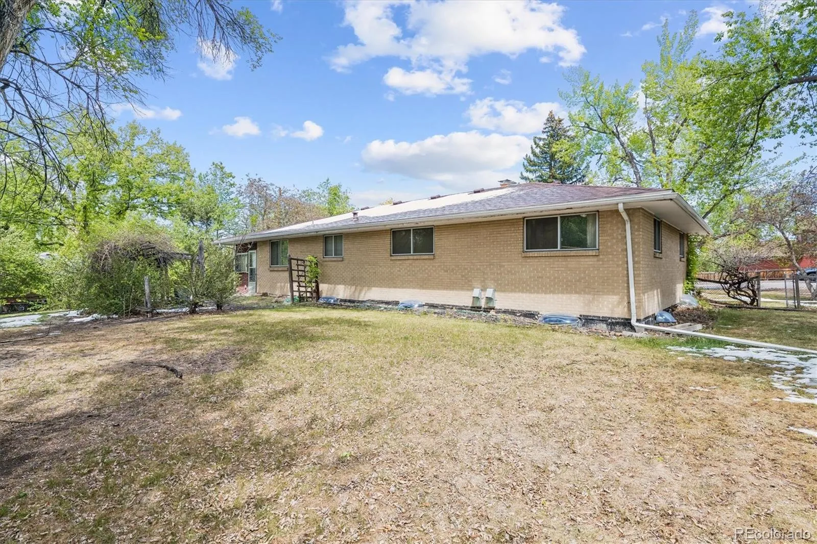3235 Union Street Wheat Ridge CO 80033 MLS #REC8747130 05092026025115 1600 31