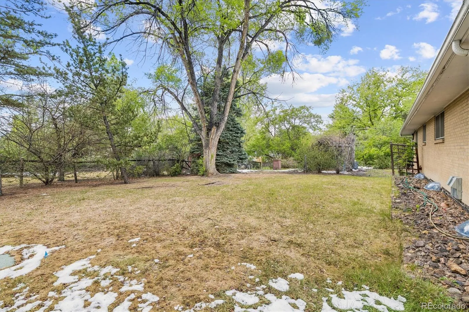 3235 Union Street Wheat Ridge CO 80033 MLS #REC8747130 05092026025115 1600 32