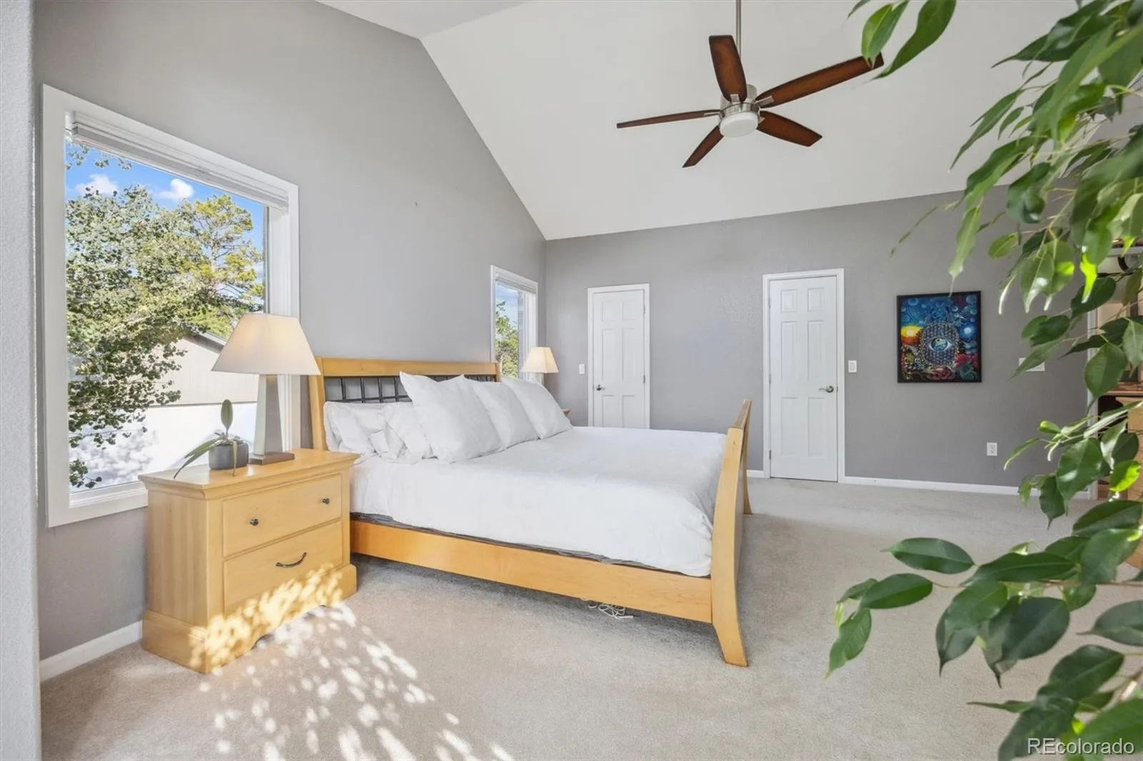 10145 Meadow Run Parker CO 80134 | MLS #REC8747543 07012026145809 1600 27