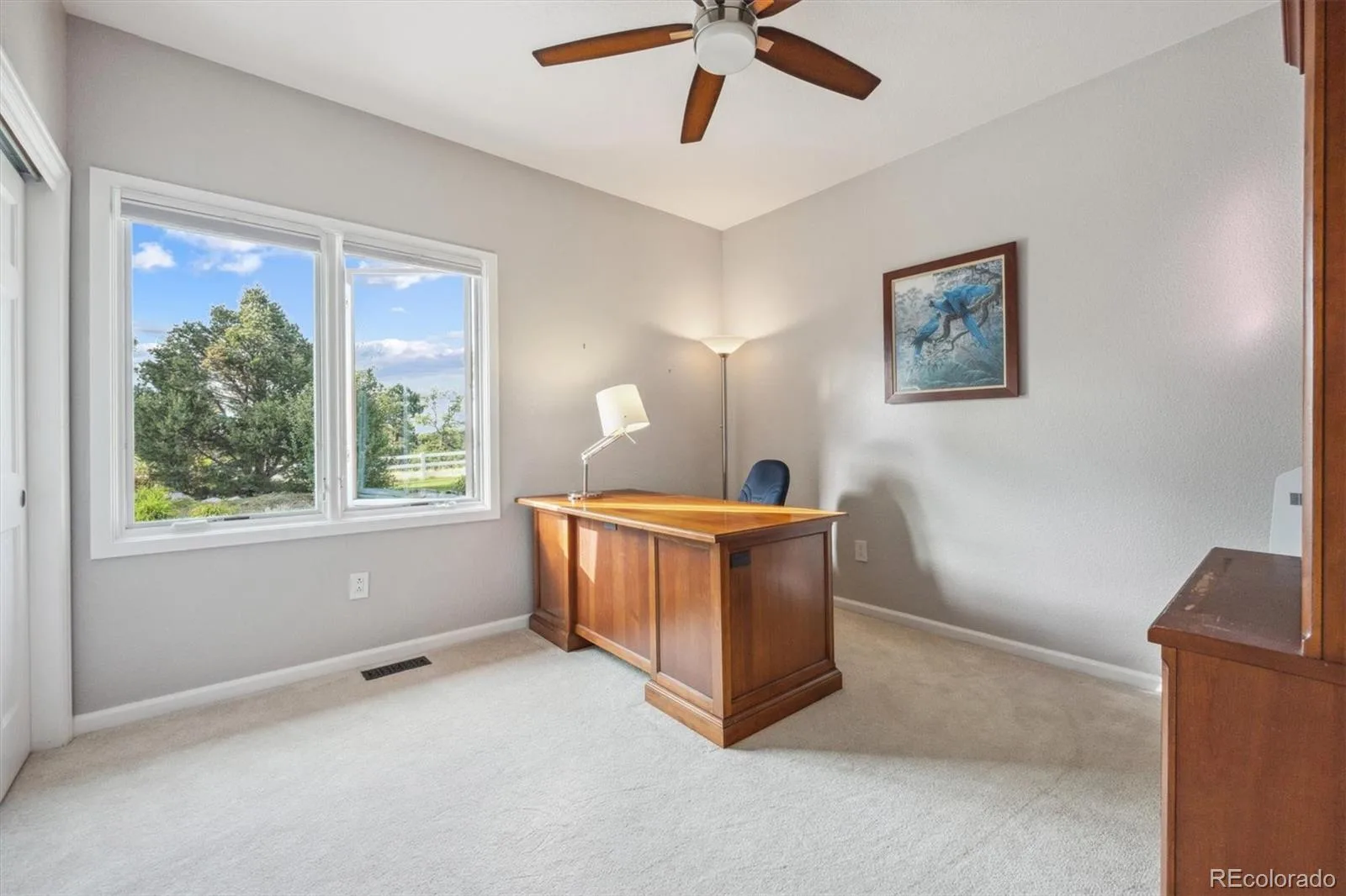 10145 Meadow Run Parker CO 80134 | MLS #REC8747543 07012026145809 1600 30