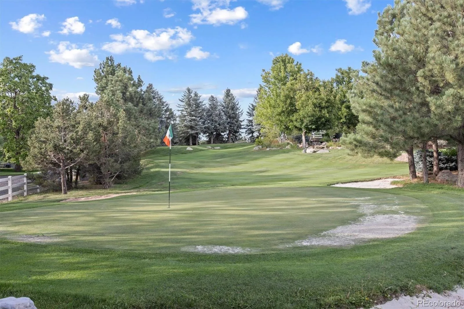 10145 Meadow Run Parker CO 80134 | MLS #REC8747543 07012026145809 1600 38