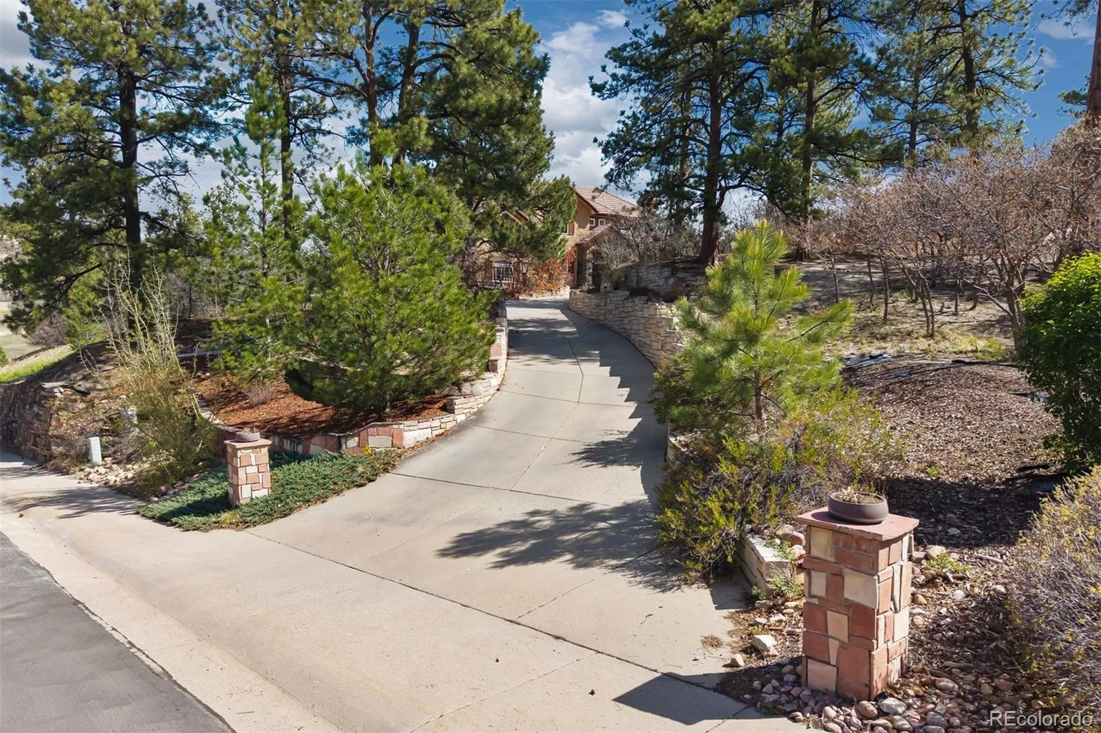 4730 Tierra Alta Drive Castle Rock CO 80104 MLS #REC8749445 05112026232032 1600 0