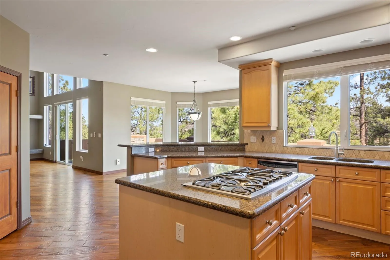 4730 Tierra Alta Drive Castle Rock CO 80104 MLS #REC8749445 05112026232032 1600 7