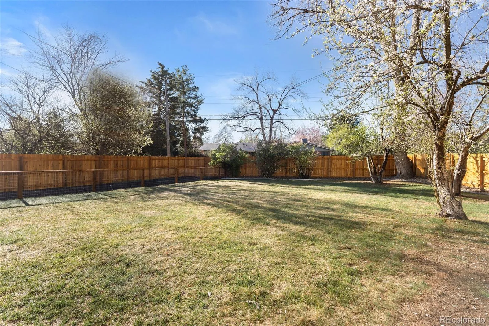 04062026231509 1600 44