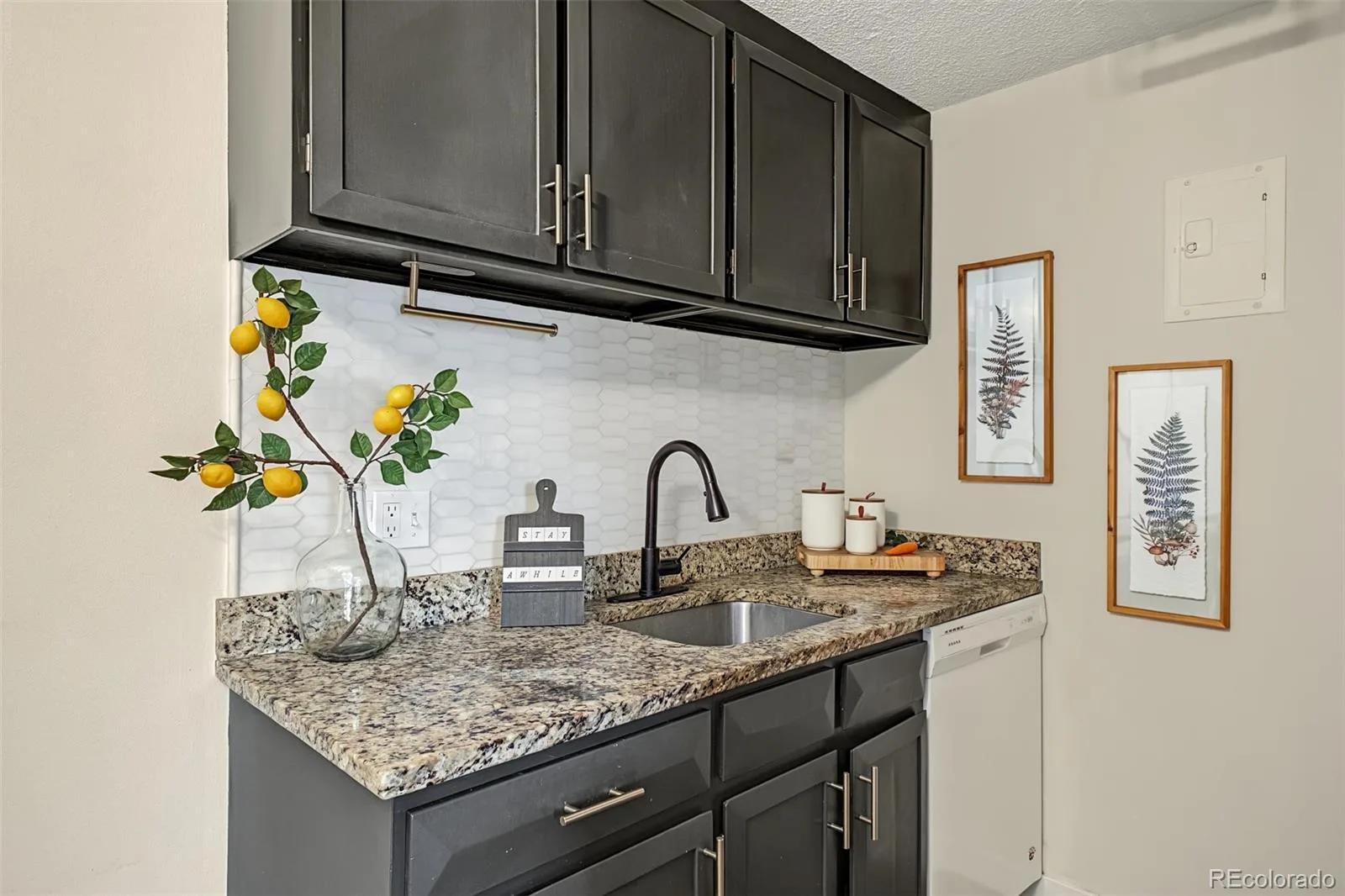 799 Dahlia Street #503 Denver CO 80220 | MLS #REC8753545 10162026224449 1600 8