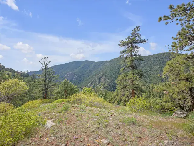5162 Raven Gulch Road Morrison CO 80465 | MLS #REC8756658 06082025011916 640 12