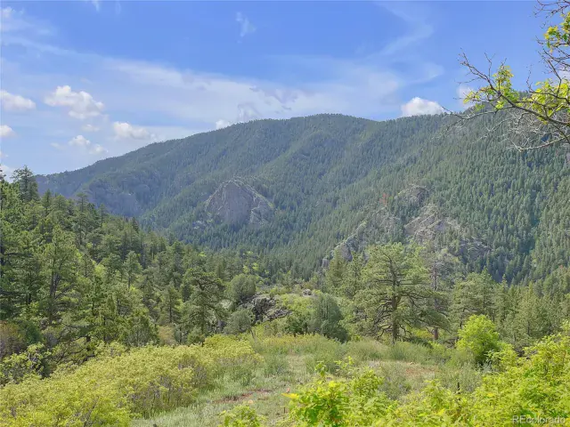 5162 Raven Gulch Road Morrison CO 80465 | MLS #REC8756658 06082025011916 640 13