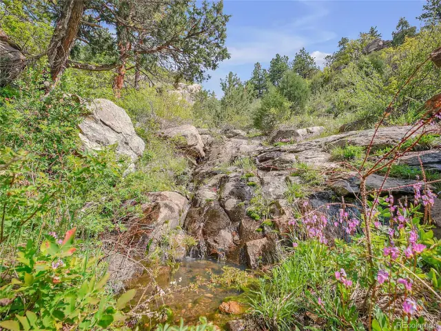 5162 Raven Gulch Road Morrison CO 80465 | MLS #REC8756658 06082025011916 640 17