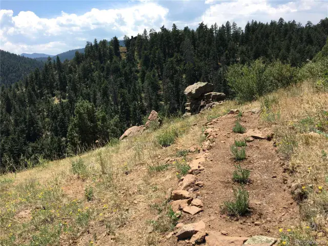 5162 Raven Gulch Road Morrison CO 80465 | MLS #REC8756658 06082025011916 640 20