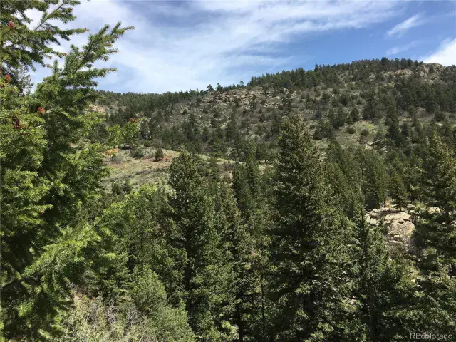 5162 Raven Gulch Road Morrison CO 80465 | MLS #REC8756658 06082025011916 640 24