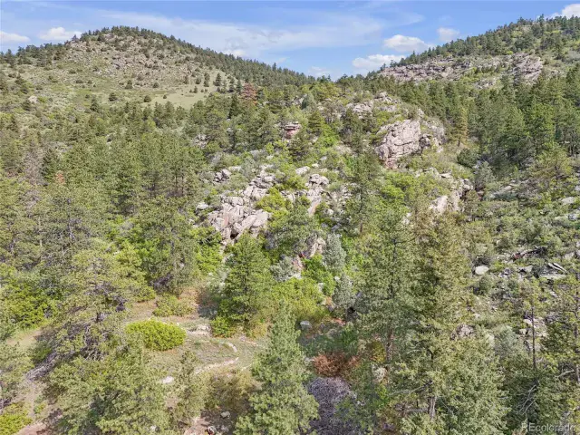 5162 Raven Gulch Road Morrison CO 80465 | MLS #REC8756658 06082025011916 640 29