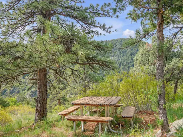 5162 Raven Gulch Road Morrison CO 80465 | MLS #REC8756658 06082025011916 640 7