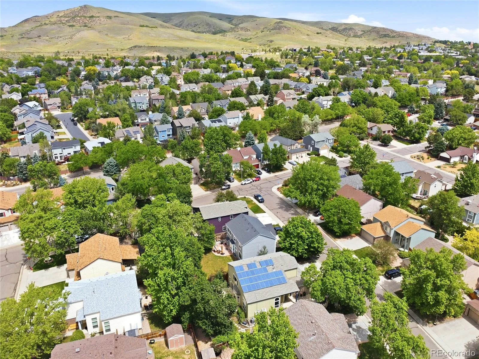 2269 S Ellis Court Lakewood CO 80228 | MLS #REC8761557 08152026002716 1600 33