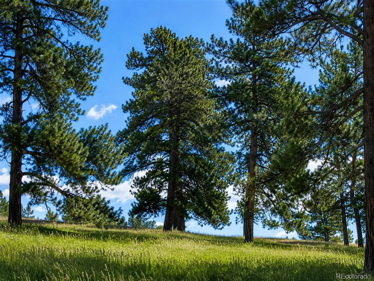 Forest Rim Road Aurora CO 80016 | MLS #REC8763674 06162026221744 1200 9