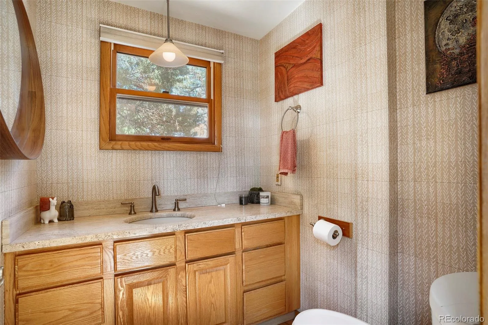 6456 Wind Hollow Court Parker CO 80134 MLS #REC8765942 06242026025656 1600 2