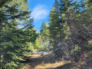10151 Coronado Circle Morrison CO 80465 | MLS #REC8775067 03192026233520 300 0
