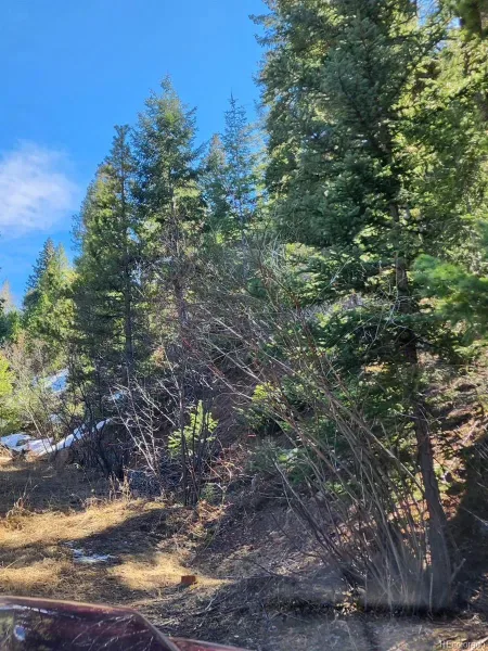 10151 Coronado Circle Morrison CO 80465 | MLS #REC8775067 03192026233520 800 3