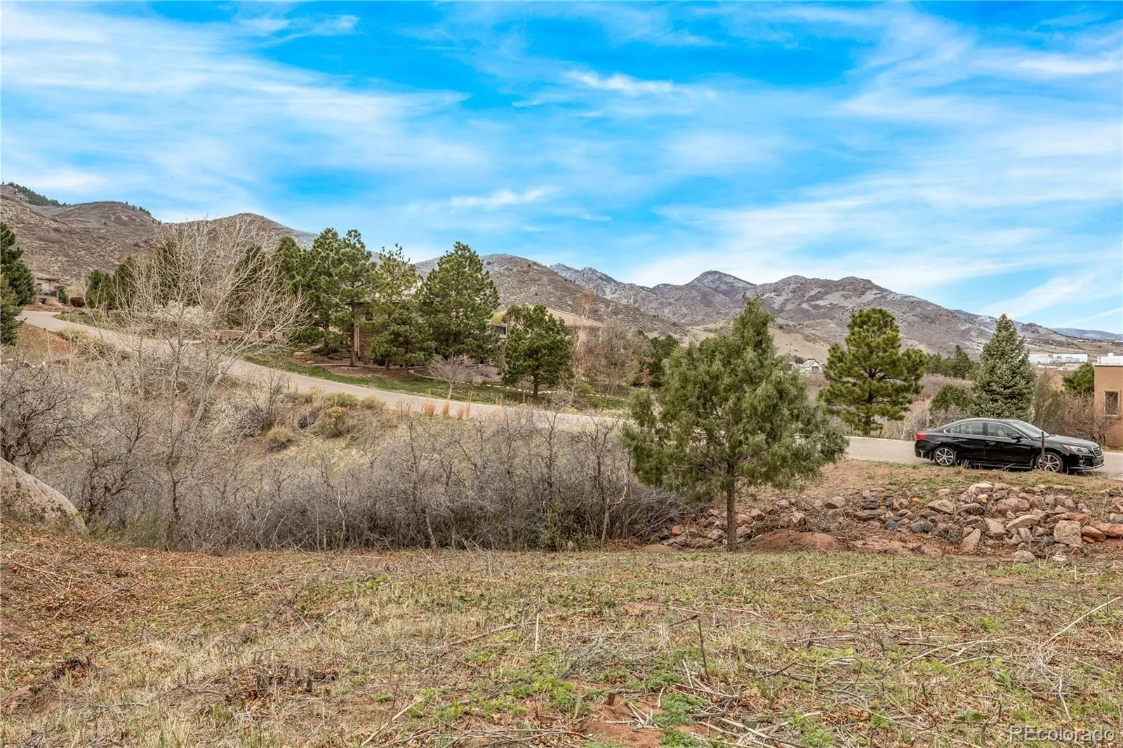 7708 Hawks Nest Trail Littleton CO 80125 MLS #REC8776865 05162026160453 1600 10