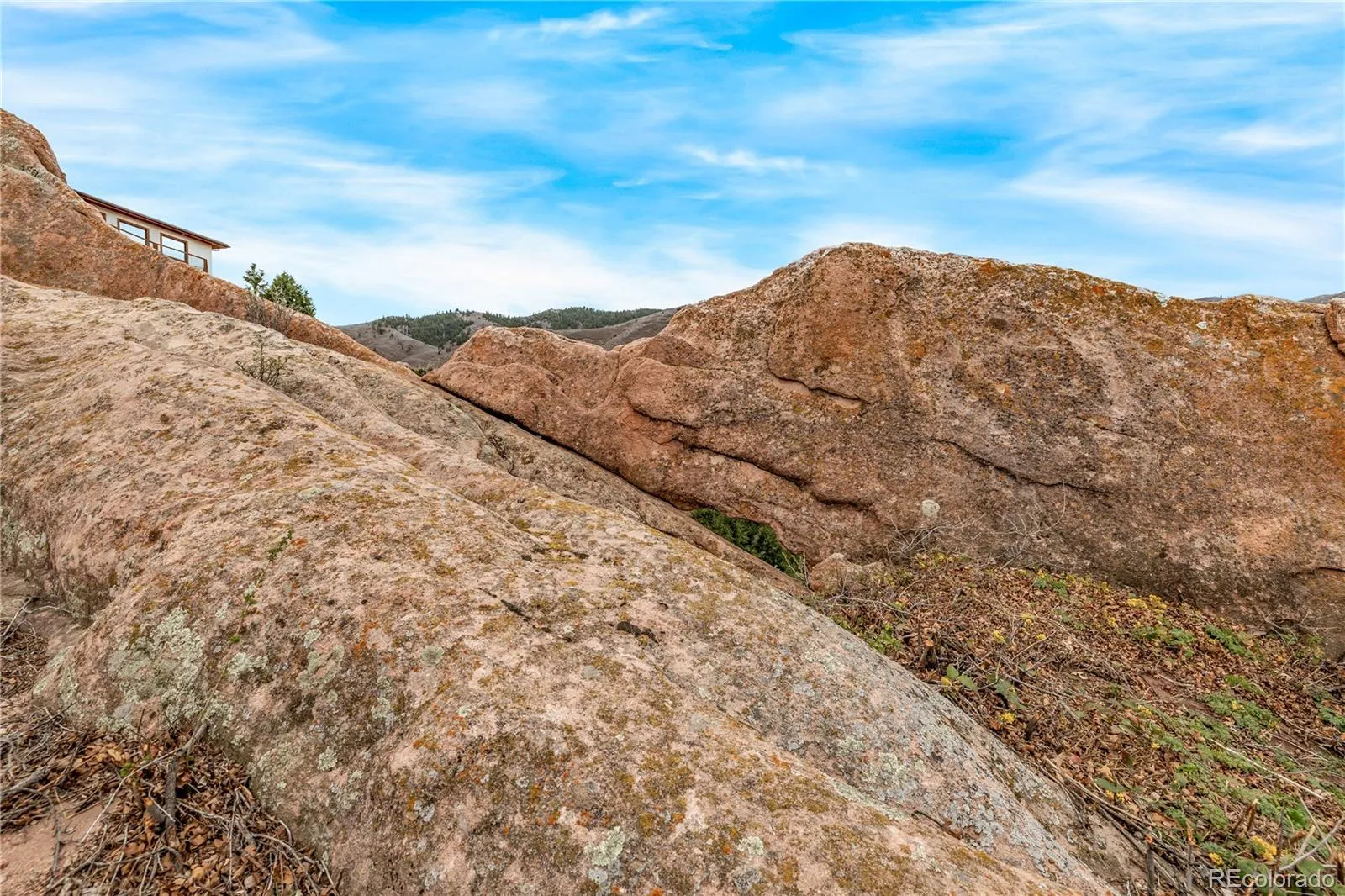 7708 Hawks Nest Trail Littleton CO 80125 MLS #REC8776865 05162026160453 1600 13