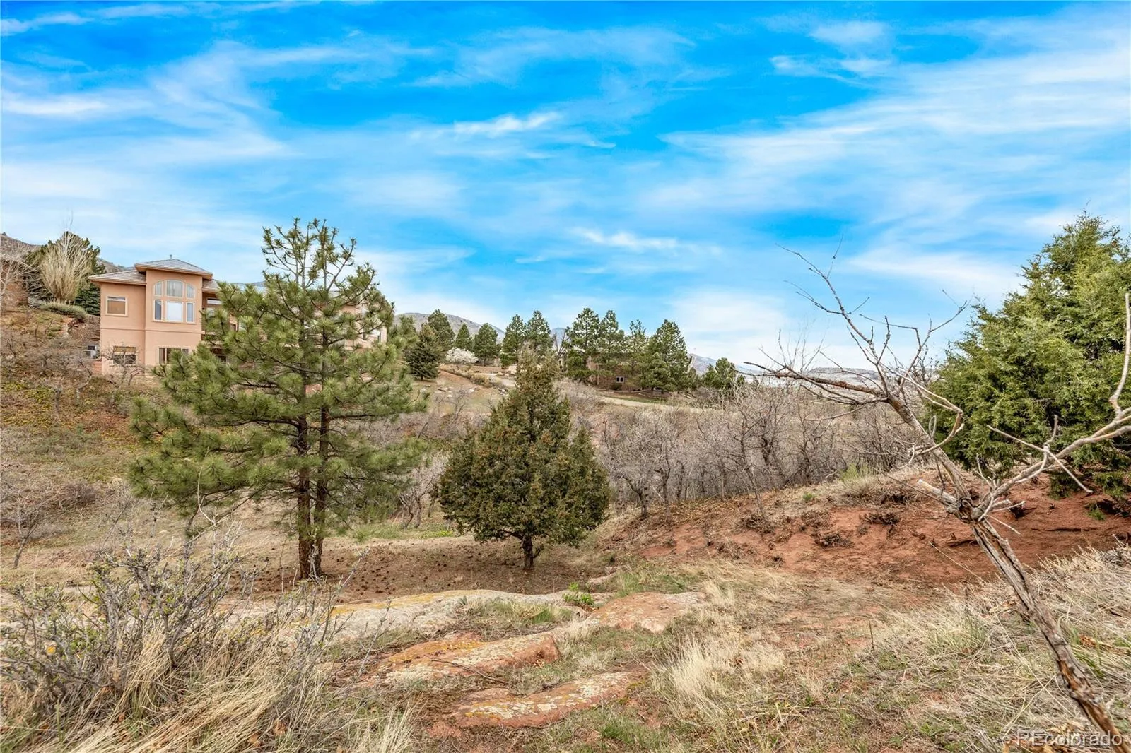 7708 Hawks Nest Trail Littleton CO 80125 MLS #REC8776865 05162026160453 1600 14