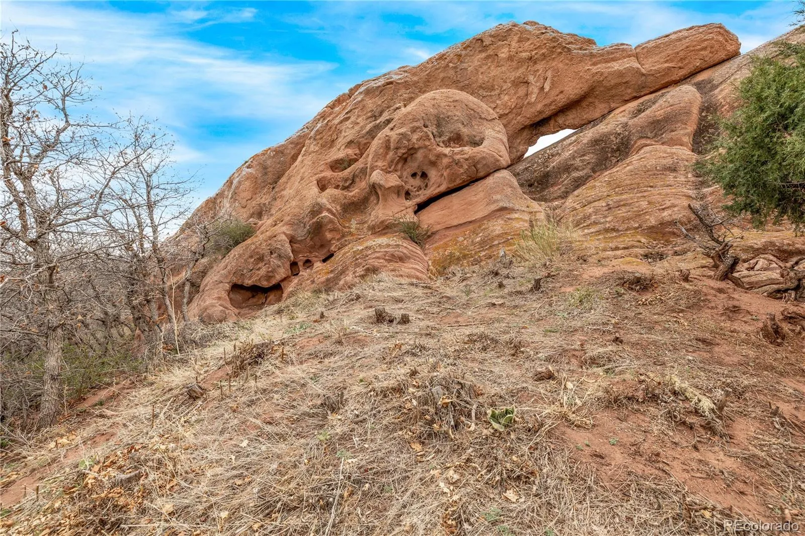 7708 Hawks Nest Trail Littleton CO 80125 MLS #REC8776865 05162026160453 1600 3