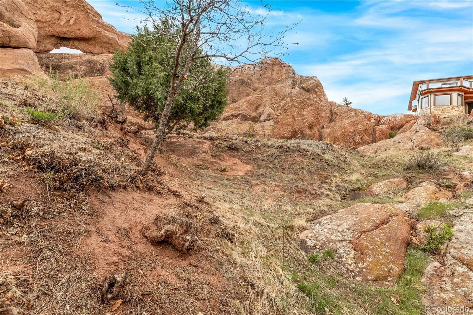 7708 Hawks Nest Trail Littleton CO 80125 MLS #REC8776865 05162026160453 1600 4