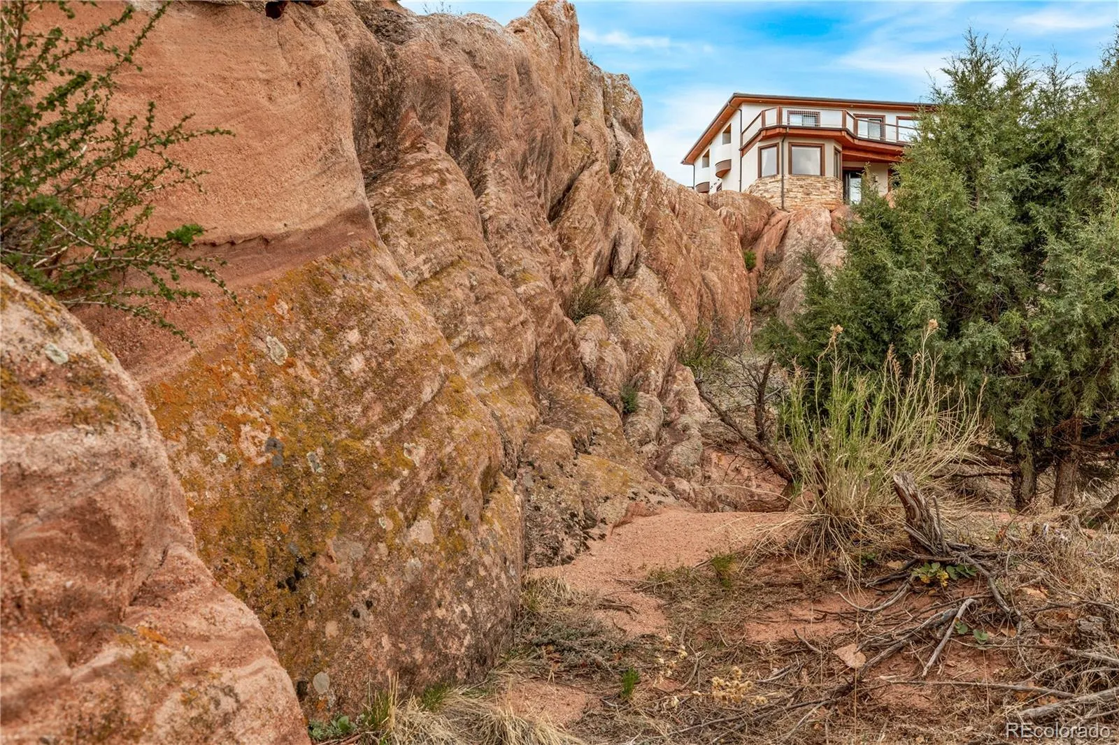 7708 Hawks Nest Trail Littleton CO 80125 MLS #REC8776865 05162026160453 1600 5